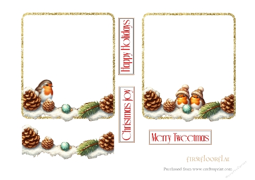 Adorable Robins Glitter Insert Frames 1