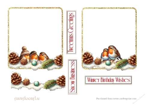 Adorable Robins Glitter Insert Frames 2