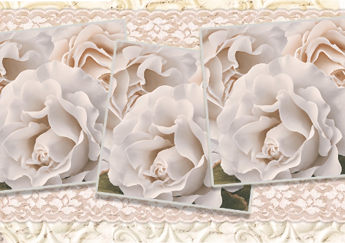 Only Roses 1