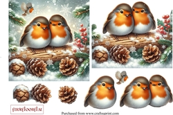 Mr & Mrs Robin