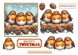 Merry Tweetmas Robins