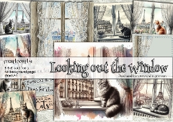 CATS - Looking out the Window 