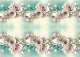 Only Roses 2