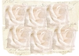 Only Roses 3