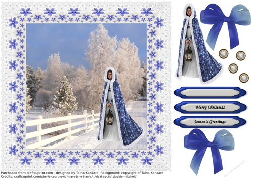 The Winter Lady in Blue