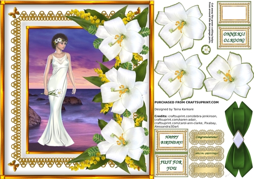 Lady Lily and the Sea of Dreams