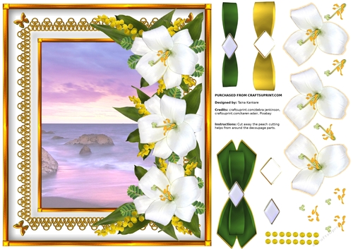 Lady Lily and the Sea of Dreams - right insert