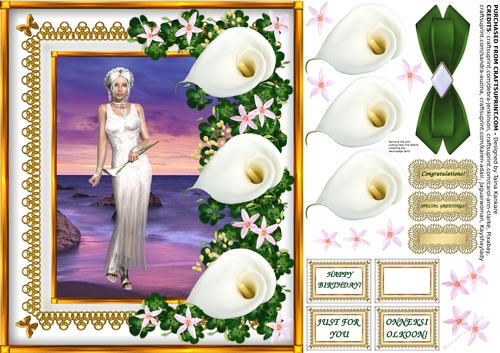 Lady Calla and the Sea of Dreams