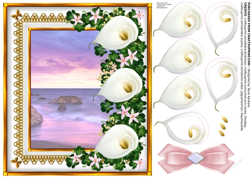 Lady Calla and the Sea of Dreams right insert