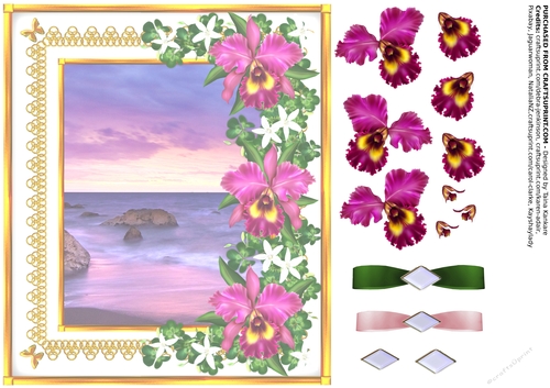 Lady Cattleya and the Sea of Dreams - blank right insert