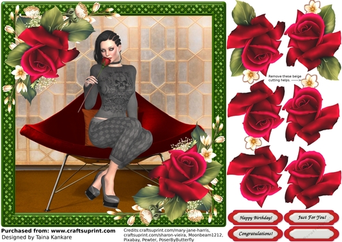 The Young Woman And a Rose 3