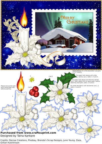 Aurora Borealis and White Poinsettia Candle