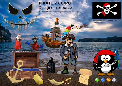 Pirate 2 Designer Resource