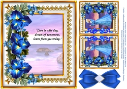 Lady Iris and the Sea of Dreams - left insert with text in English