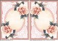 The Peach Roses Portrait Inserts