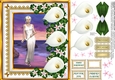 Lady Calla and the Sea of Dreams