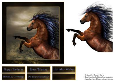 Wild Horse Card Topper