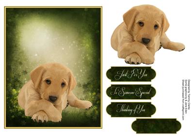 Man's Best Friend Otption 1