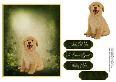 Man's Best Friend Otption 2