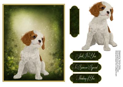 Man's Best Friend Otption 3