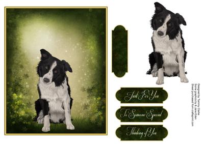Man's Best Friend Otption 5