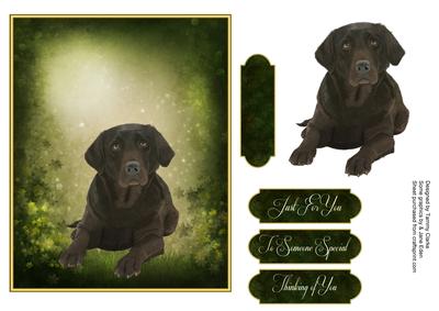 Man's Best Friend Otption 6
