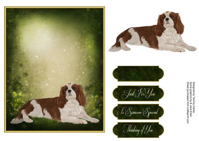 Man's Best Friend Otption 7