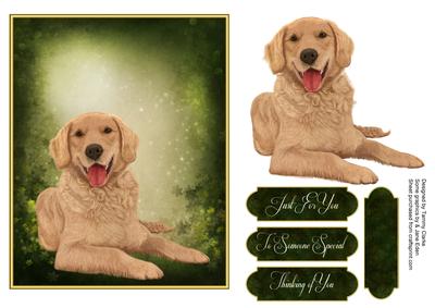 Man's Best Friend Otption 9