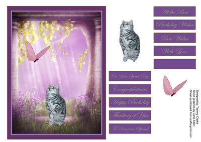 'play Catch' Card Topper