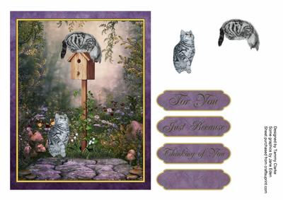 'coming Out to Play' Kitten Card Topper