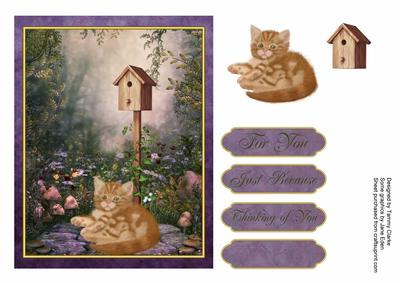 'day Watch' Kitten Card Topper