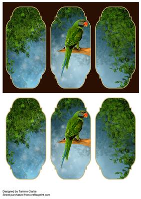 Beautiful Parrot Card Topper