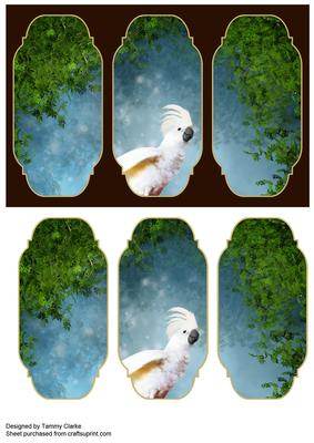 'peek-a-boo Cockatoo' Card Topper