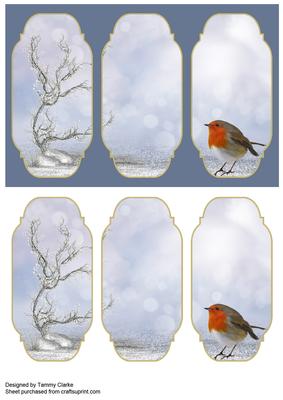 'a Robins' Visit' Card Topper