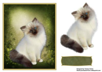 Sweet Kitten Card Topper 1