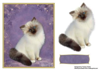 Sweet Kitten Card Topper 2