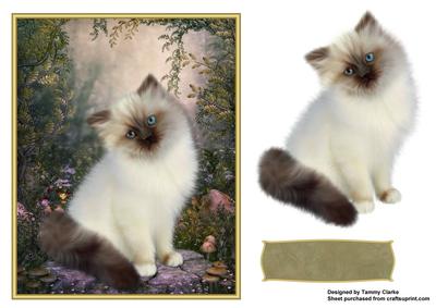 Sweet Kitten Card Topper 3