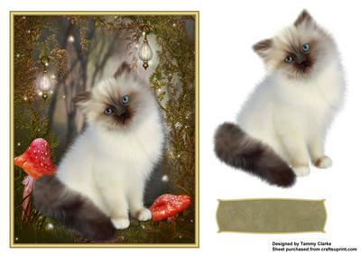 Sweet Kitten Card Topper 4