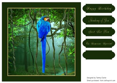 Wild Parrot Card Topper
