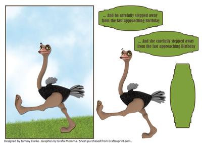 Humour/funny Ostrich Card Topper