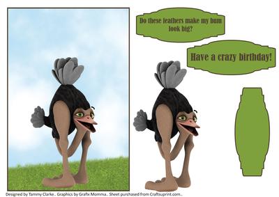 Humour/funny Ostrich Card Topper 2