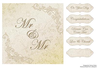 Beautiful 'mr & Mr' Wedding Card Topper