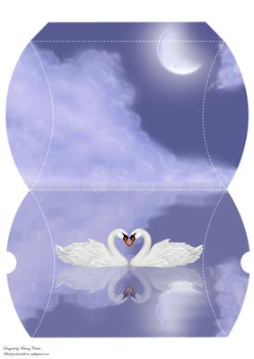 Beautiful Swan Lake Pillow Box