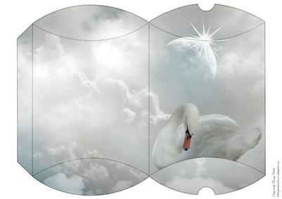 Beautiful Swan and Moon Pillow Box