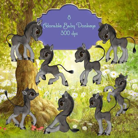8 Adorable Baby Donkeys
