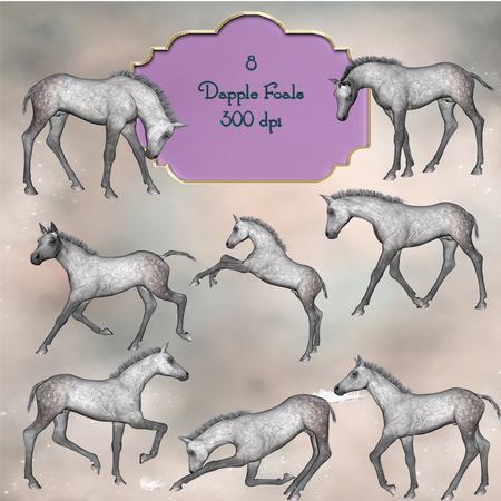8 Beautiful Dapple Foals