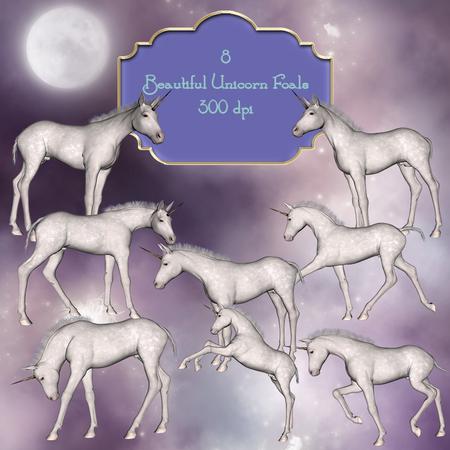 8 Beautiful Unicorn Foals