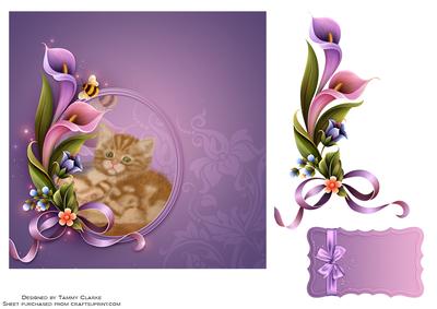 'wide Awake' Adorable Kitten Card Topper