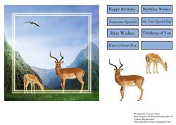 Wild Deer Card Topper