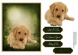 Man's Best Friend Otption 1